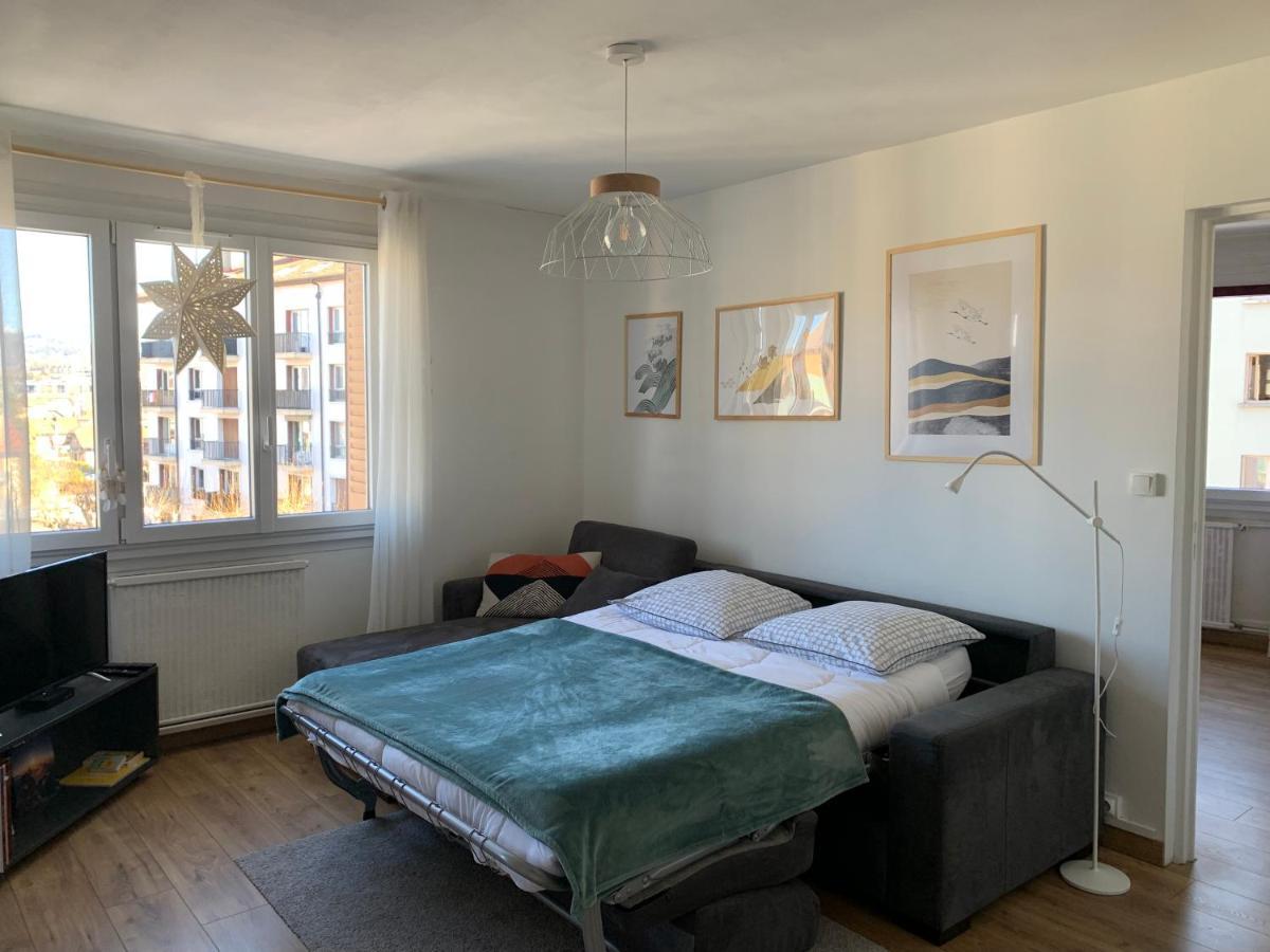 Appartement Cosy Proche Du Centre Annecy Eksteriør billede